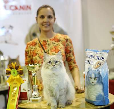 �������� �����  20-21 �������� 2014 ������������ ��� 169A2175 copy.jpg